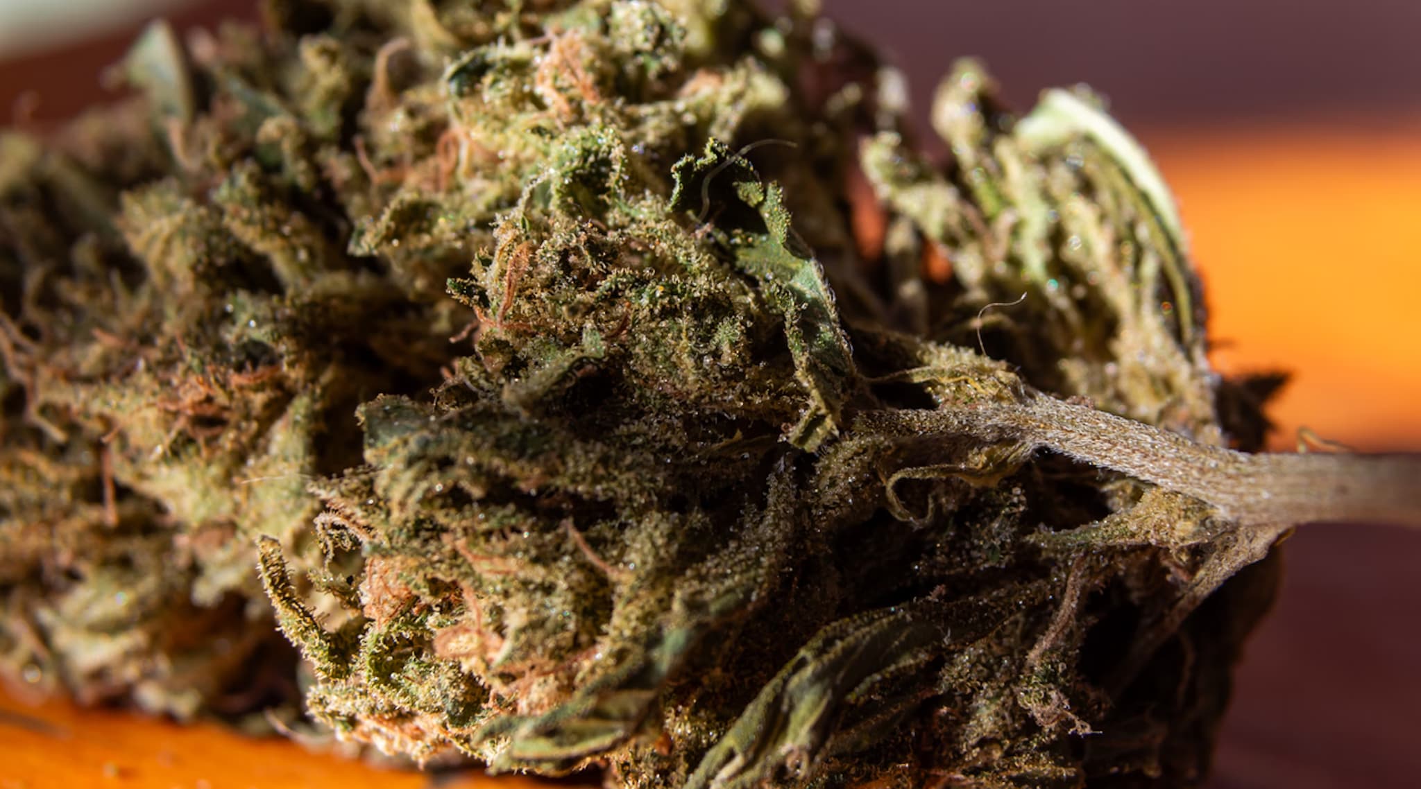 Marijuana Buds UK: Educational Insights for Responsible Use