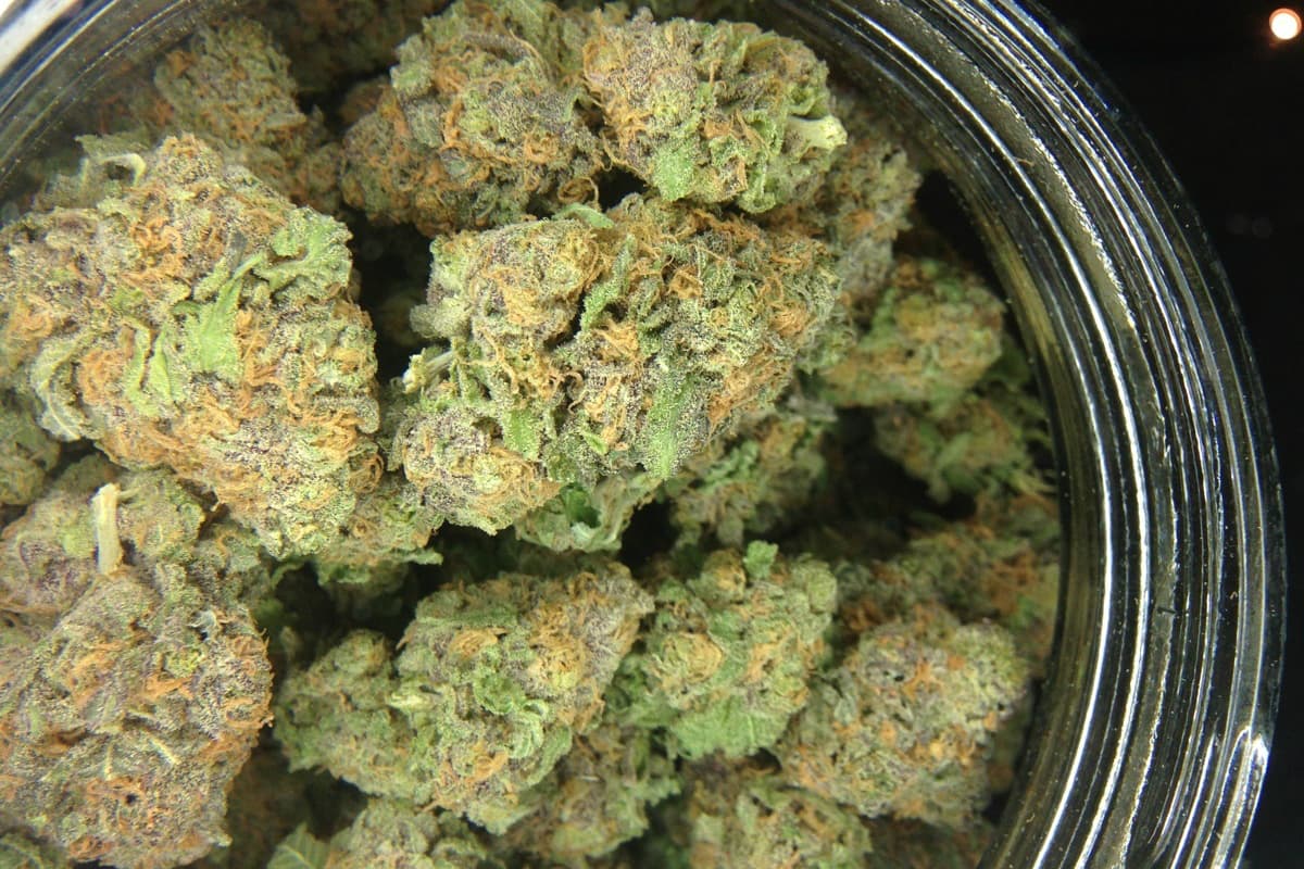 Your Trusted U.S. Dispensary Offering 420 Delivery – Buy marijuana Online