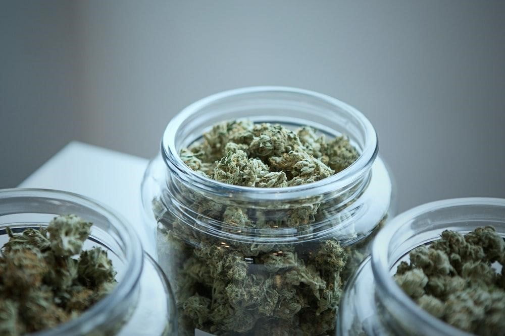 Experience Quality &amp; Affordability at the Top Legal Marijuana Dispensary EU